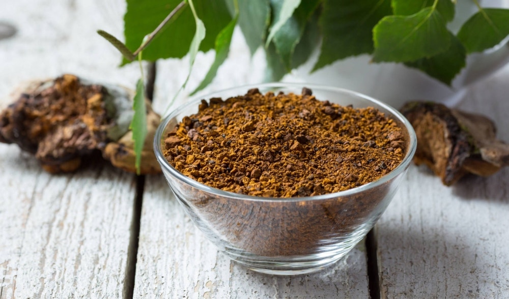 Chaga: health's mushroom