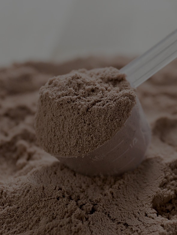 Whey protein: characteristics and use