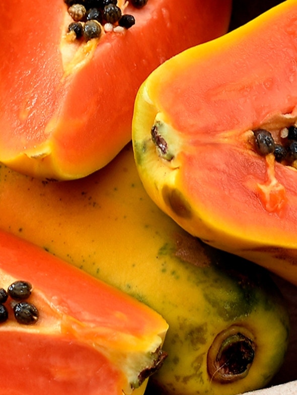 Papaya, the fruit of longevity