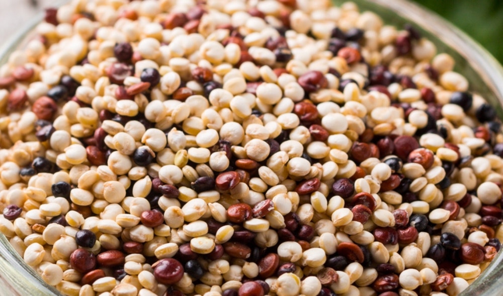 Quinoa, properties and uses