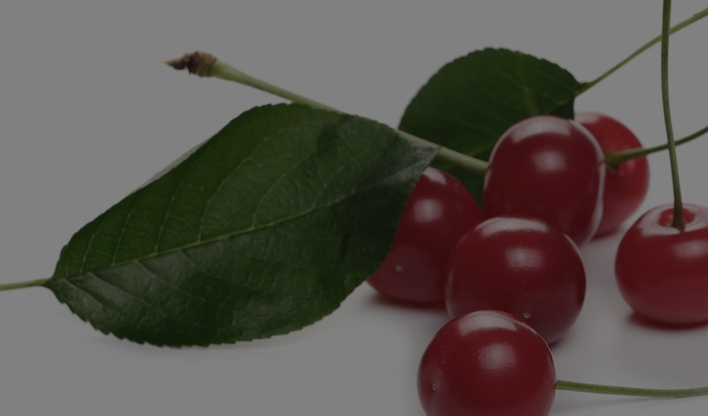 Tart Cherry Extract: precious gift of nature