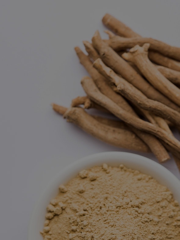 Ashwagandha: a valuable ally against stress