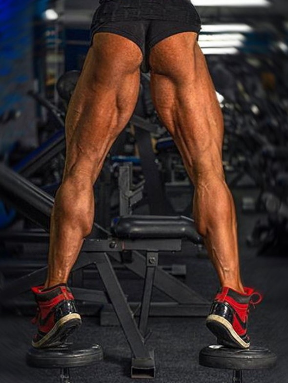 The Ultimate Leg Training