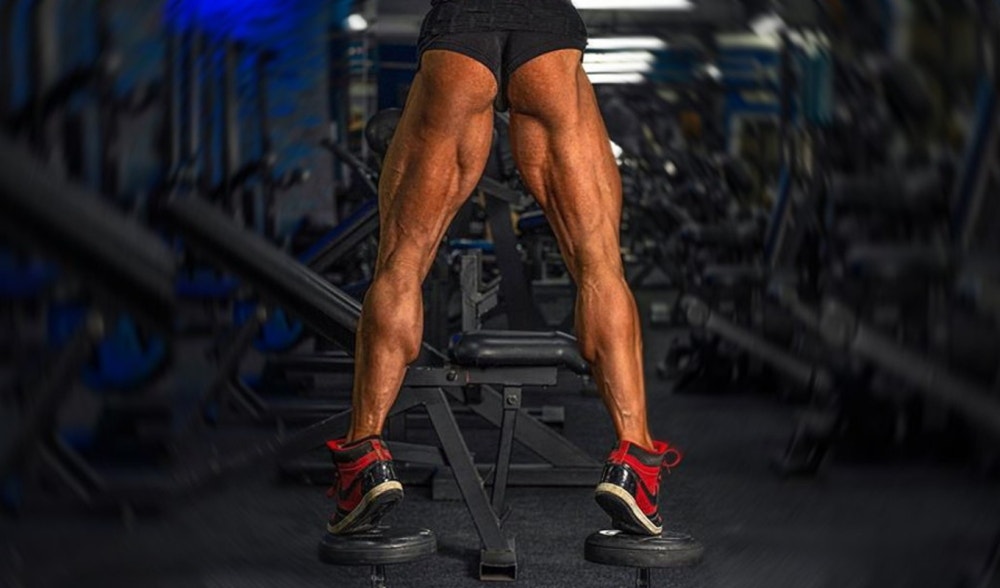 The Ultimate Leg Training