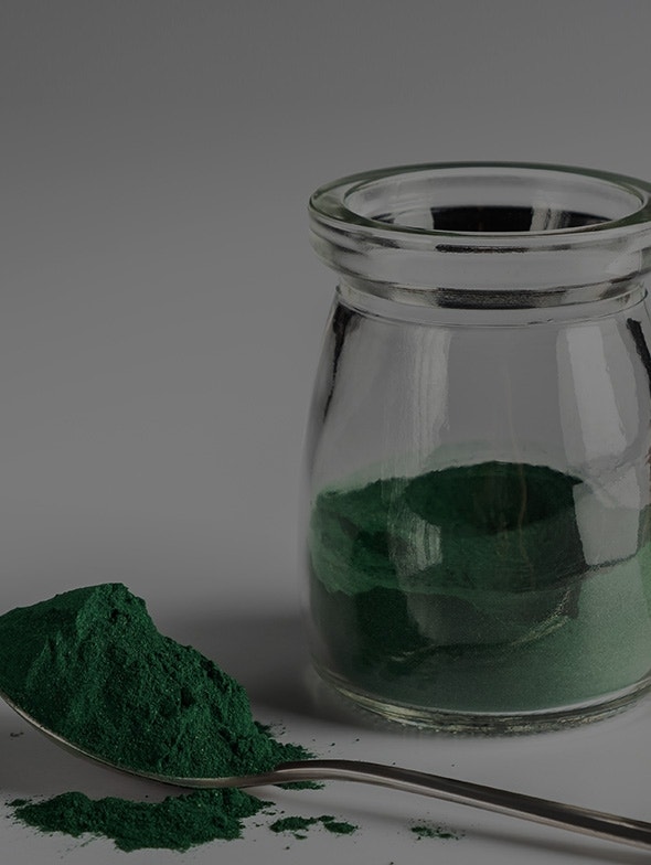 Spirulina algae | The Extraordinary Benefits of Spirulina Powder