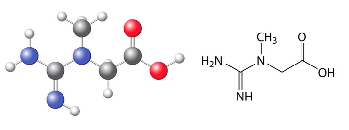 Creatine chemical formula